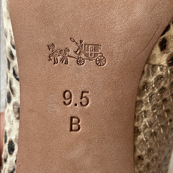 Coach Python Leather Pointed Toe Kitten Heels - Picture 5 of 11